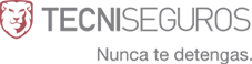 Tecniseguros | Español